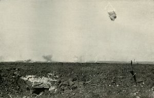 The Woolly Bear., 1919. av Unbekannt