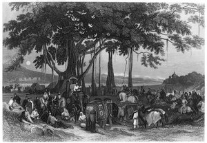 Ankomsten av kontingentstyrken til sikhens irregulære kavaleri, India, c1860 av Unbekannt