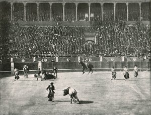 Det indre av tyrefekterarenaen, Madrid, Spania, 1895. av Unbekannt