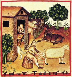 Produksjon av ost. En miniatyr fra Tacuinum Sanitatis, andre halvdel av 1300-tallet. av Unbekannt