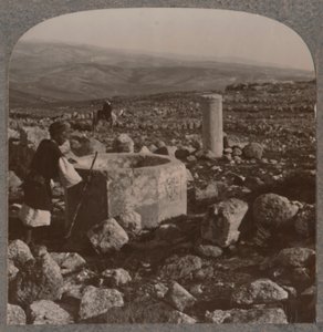 Ruinene av Tekoa, ca 1900 av Unbekannt