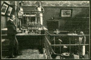 Det er ingen giftskremsler i tsarens herredømme, 1901 av Unbekannt