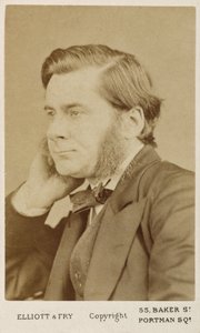Thomas Henry Huxley , britisk biolog, c1865-1886 av Unbekannt
