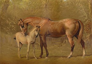 Fullblods hoppe og føll, c1879. av Unbekannt