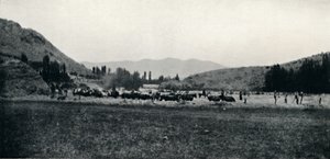 Treske mais på den eldgamle måten, 1911 av Unbekannt