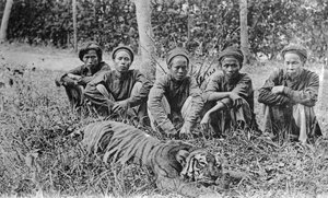 Tigerjegere, Tonkin, Vietnam, 1900-tallet av Unbekannt