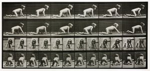 Time-lapse-bilder av et barn som kryper av Unbekannt