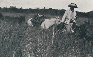 Reise på Pampas, 1916 av Unbekannt