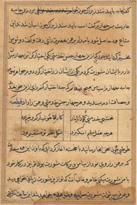 Tuti-Nama Tales of a Papegøye, ca. 1560. av Unbekannt