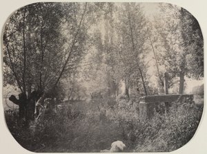 Uten tittel Landskap med hund, ca. 1910. av Unbekannt