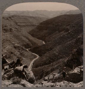 Arnodalen, gjeter og sauer i forgrunnen, ca 1900 av Unbekannt