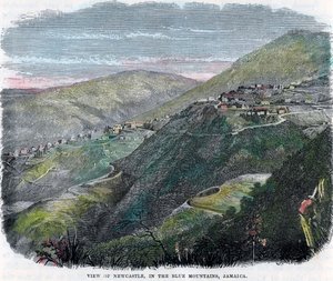 Utsikt over Newcastle, i Blue Mountains, Jamaica, c1880 av Unbekannt