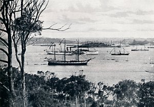 Utsikt over Sydney Harbour fra North Shore, nr. 1, c1900. av Unbekannt