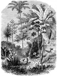 Utsikt over den spanske hovedveien, Guatemala, 1877 av Unbekannt