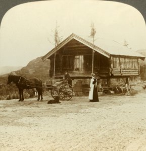 Venter på passasjerer på veien nær Bolkesjo, Norge, c1905. av Unbekannt