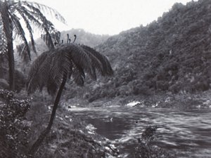 Wanganui-elven, slutten av 1800-begynnelsen av 1900-tallet. av Unbekannt