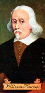 William Harvey, hentet fra en serie sigarettkort, 1935 av Unbekannt