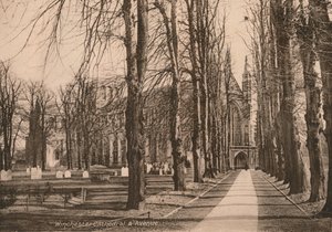 Winchester Cathedral and Avenue, Hampshire, tidlig på 1900-tallet. av Unbekannt