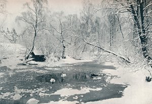 Vinterutsikt over friluftsmuseet på Skansen, ca 1900 av Unbekannt