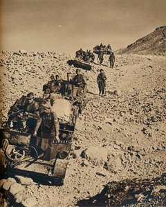 Med Andersons Men i Tunisia, 1943 av Unbekannt
