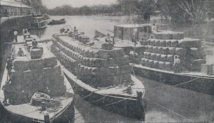 Ulllektere på Murray River, 1923. av Unbekannt