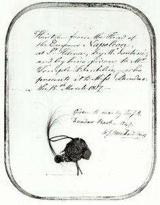 Hår kuttet fra hodet til keiser Napoleon av Giovanni Natale Santini og gitt av ham til William Temple Franklin, 1816 (hår) av Unbekannt Unbekannt