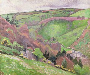 Dallandskap, 1900-tallet