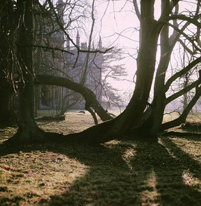 Utsikt over nordfronten, Corsham Court, Wiltshire av Unbekannt Unbekannt