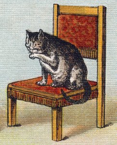 En katt på en stol. Gravering i "Alphabet de ma petite fille". Bernardin-Bechet og Fils, bokhandler-forlag, Paris, rundt 1895. Ubrytelig album på lerret. Bibliotheque des Bebes. 12 sider. Album som inneholder en lesemetode og en illustrativ abeceda av Unbekannt