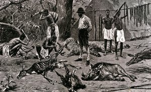 En flott jaktdag! 1900 (gravering) av Unbekannter Künstler