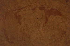 Algerie, Sahara-ørkenen, Tassili-n-Ajjer nasjonalpark, stedet for Sefar, bergmaleri som viser oksen.