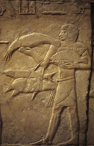 Det gamle Egypt: Saqqarah (eller Saqqara eller Sakkarah): nekropolis av det gamle imperiet, grav av adelige.. Detalj av relieffer som representerer en fisker.