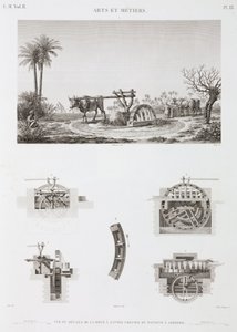 Animal Power Dyredrevet vanning, Egypt, ca 1798 av Unbekannt