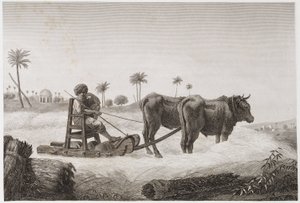 Åkerbruk, innhøstingstreskemaskin, Egypt, ca 1798 av Unbekannt