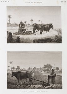 Jordbruk, pløying Treskemaskin og plog, Egypt, ca 1798 av Unbekannt