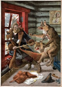 Ulv angrep. Wolves angrep.
