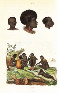 Australske aboriginer og overhoder for innfødte i Waigeo, Vest-Papua1834-1839 (gravering) av Unbekannter Künstler