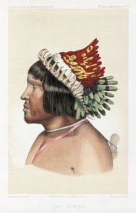 Bororo-sjef, Sør-Amerika, ca 1843-1847 av Unbekannt