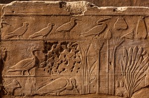 Botanisk hage Thutmosis III med relieffavbildninger av planter og dyr, Karnak-tempelet, Luxor, Theben, Egypt, Afrika (bilde) av Unbekannter Künstler