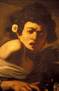 Gutt bitt av en øgle (detalj), Caravaggio kunstverk, Palazzo Ducale, Genova, Liguria, Italia av Unbekannt