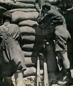 Britiske tropper kjemper i Khaki-drill-shorts, Gallipoli-halvøya av Unbekannt