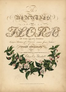 Kalligraphische Titelseite mit botanischer Vignette von Unbekannt
