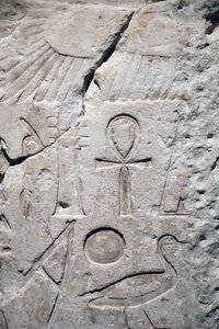 Coptos, Sesostris 1s tempelfragment, Detalj av Unbekannter Künstler