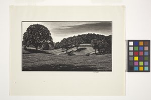 Country Scene (blekk) av Unbekannter Künstler