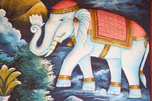 Hengiven elefant. Siem Reap Kambodsja av Unbekannt