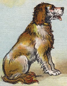 Hund. Gravering i "Alphabet de ma petite fille". Bernardin-Bechet og Fils, bokhandler-forlag, Paris, rundt 1895. Ubrytelig album på lerret. Bibliotheque des Bebes. 12 sider. Album som inneholder en lesemetode og et illustrerende abecedary. Dimens av Unbekannt