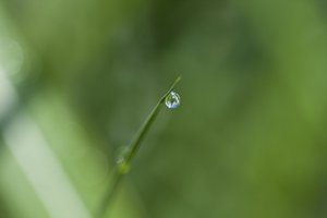 Dråpe (fotografi) av Unbekannter Künstler