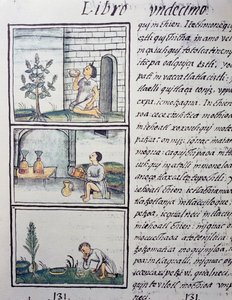 Spiselige planter, side fra bok XI av den florentinske kodeksen, tospråklig versjon på spansk og Nahuatl, General History of the Things of New Spain, av den spanske misjonæren Fray Bernardino de Sahagun (1499-1590). Aztekisk sivilisasjon av William M. Timlin