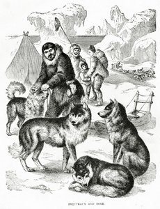 Esquimaux og hunder. 1902 (lito) av Unbekannt