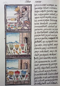 Fjærbehandling etter den spanske erobringen, side fra Florentine Codex, tospråklig versjon på spansk og Nahuatl, General History of Things of New Spain, av den spanske misjonæren Fray Bernardino de Sahagun. Aztekisk sivilisasjon av William M. Timlin